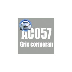 Atomiseur de peinture 400 ML net gris cormoran GVP EVP  AC057