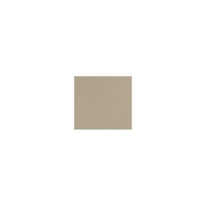Crayon de retouche peinture AC083 BEIGE VANNEAU 9ml