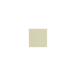 Crayon de retouche peinture AC090 BEIGE ERABLE 9ml