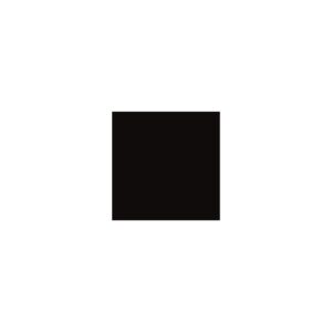 Crayon de retouche peinture AC200 NOIR 9ml